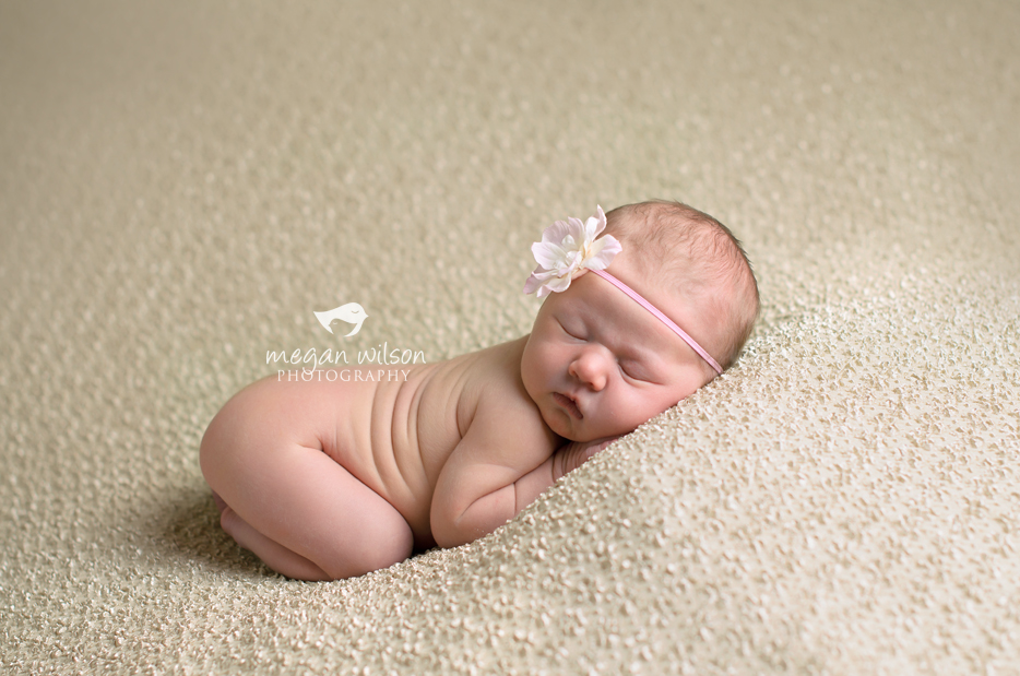 Roswell Newborn Photographer