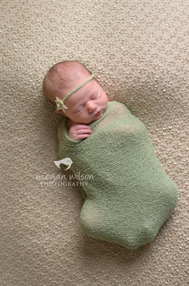 Roswell Newborn Photographer