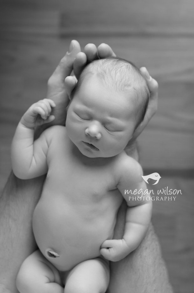 Roswell Newborn Photographer