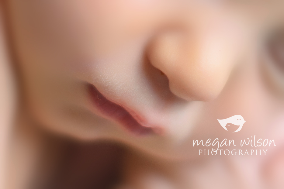 Roswell Newborn Photographer