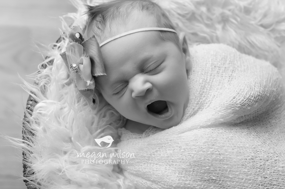 Woodstock Newborn Photographer