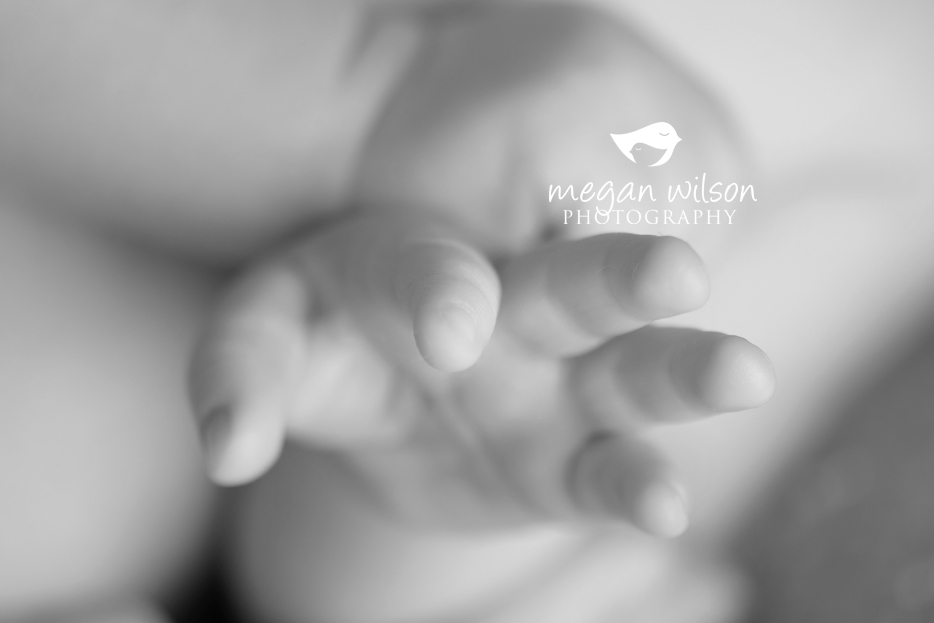 Woodstock Newborn Photographer