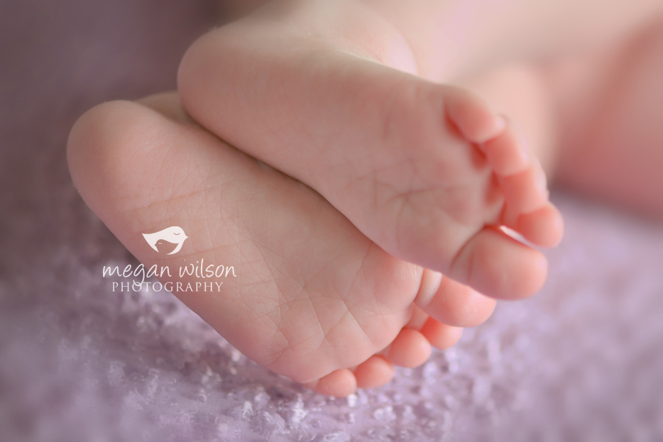 Woodstock Newborn Photographer