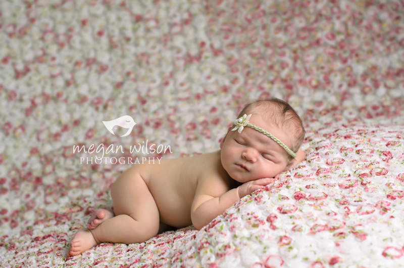 Atlanta Newborn Photographer