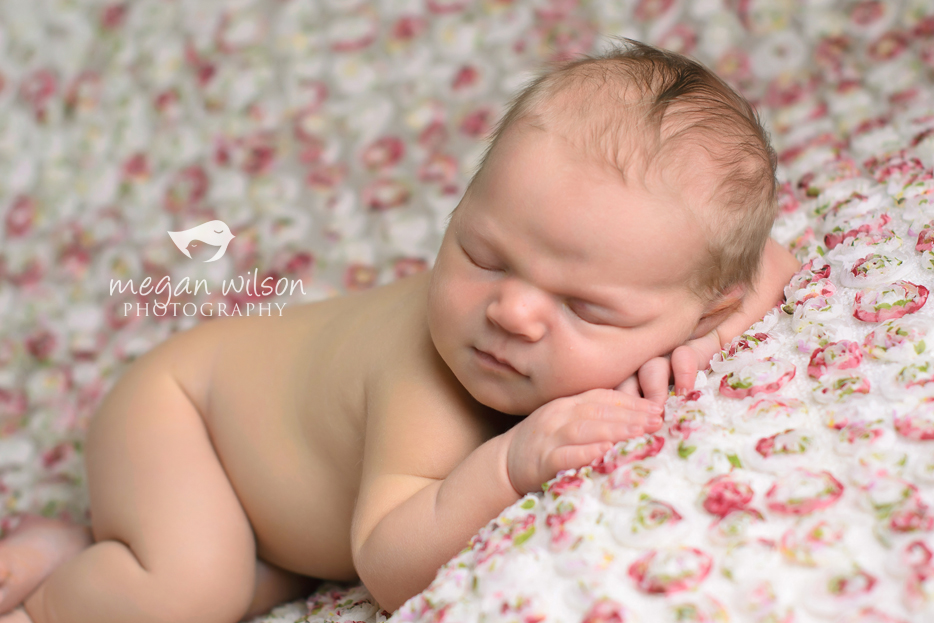 Atlanta Newborn Photographer
