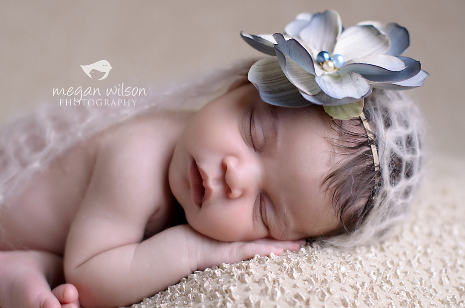 Atlanta Newborn Photographer