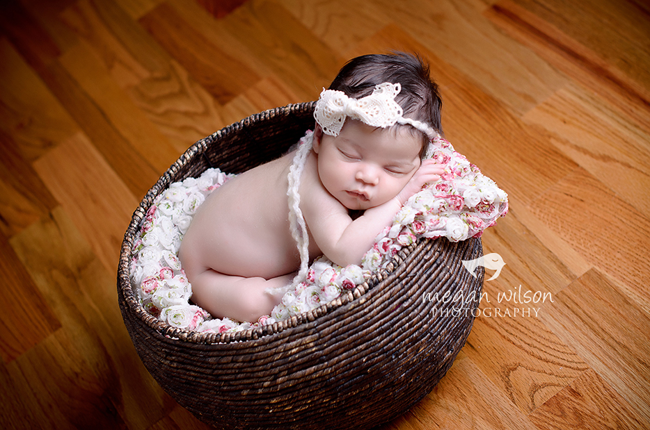 Atlanta Newborn Photographer