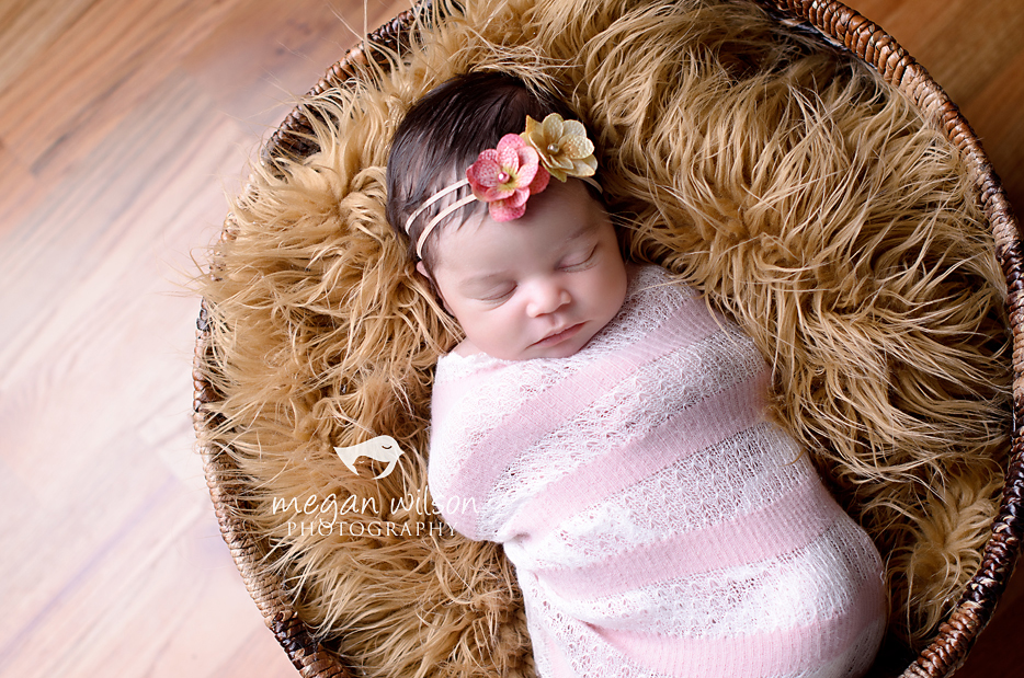 Atlanta Newborn Photographer
