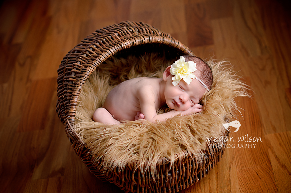 Dunwoody Newborn Photographer