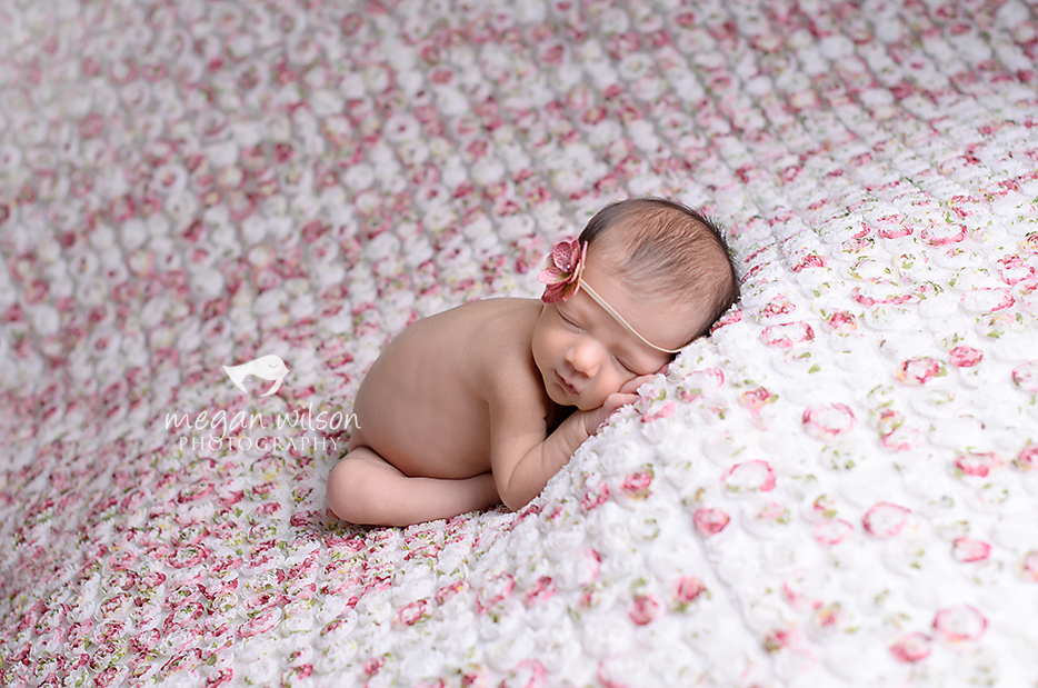 Dunwoody Newborn Photographer