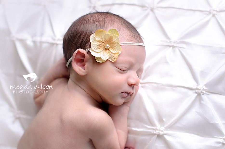 Dunwoody Newborn Photographer