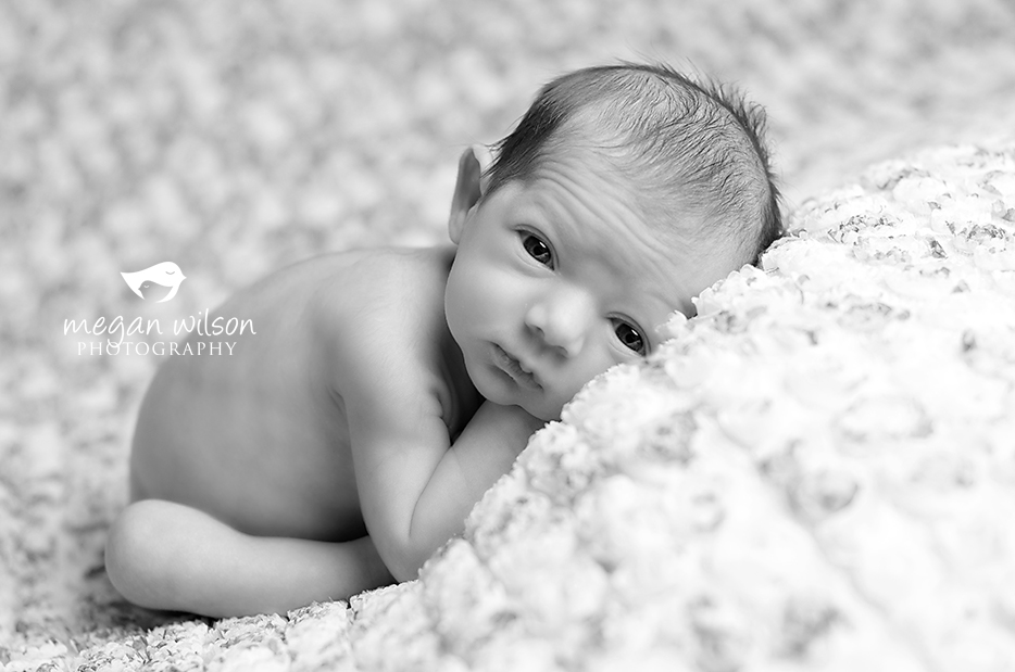 Dunwoody Newborn Photographer