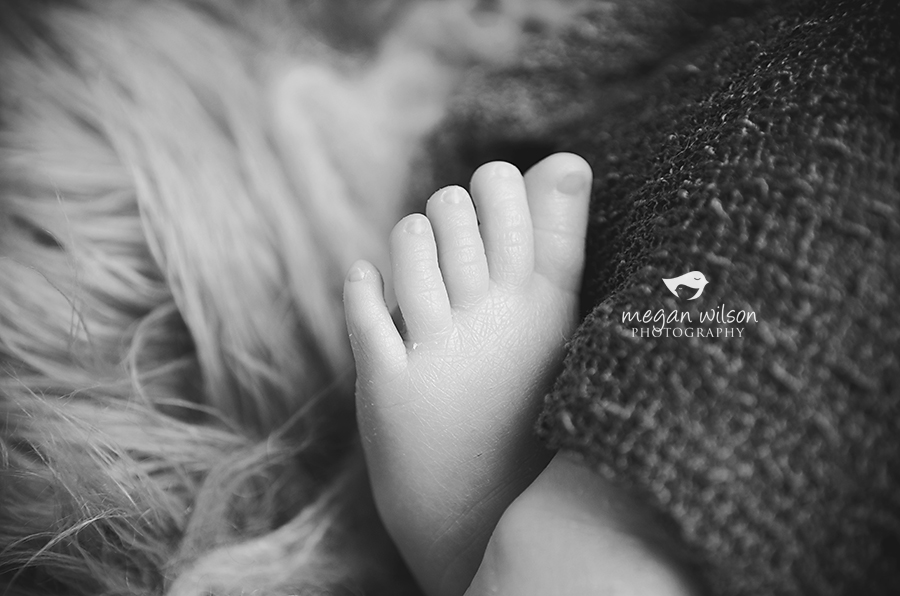 Smyrna Newborn Photographer