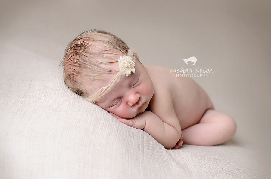 Canton Newborn Photographer