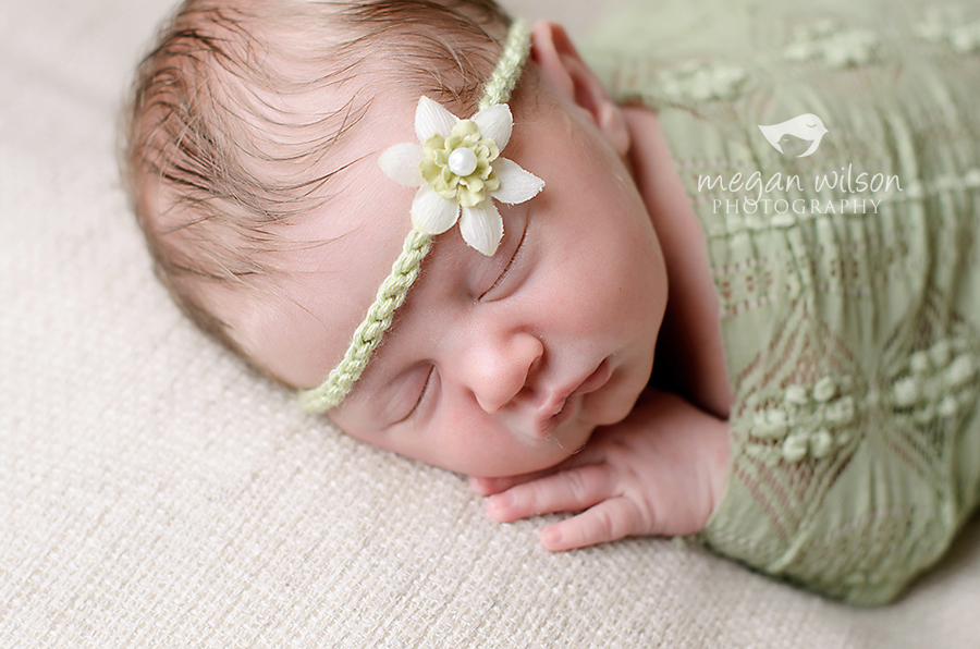 Canton Newborn Photographer