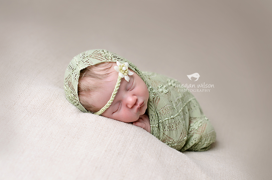 Canton Newborn Photographer