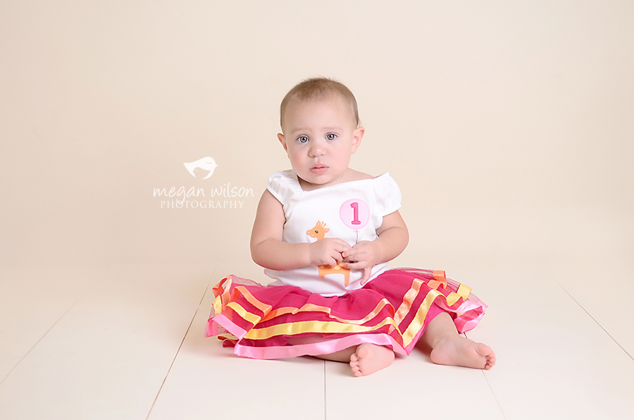 Alpharetta Twin Baby Photographer