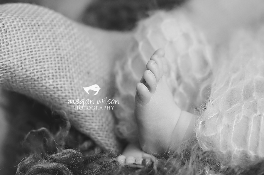 Cumming Newborn Photographer