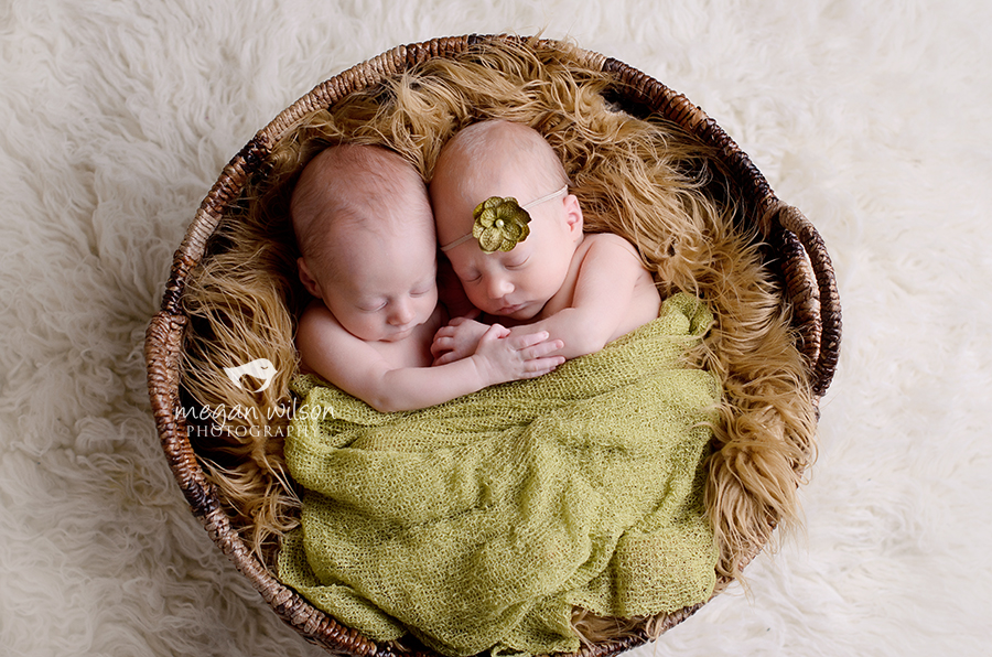 Cumming Newborn Twin Photographer