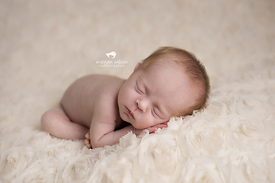 Alpharetta Newborn Twin Photographer
