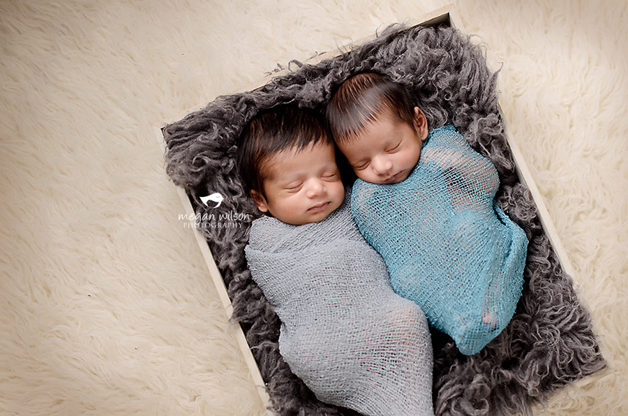 Duluth Newborn Twin Photographer