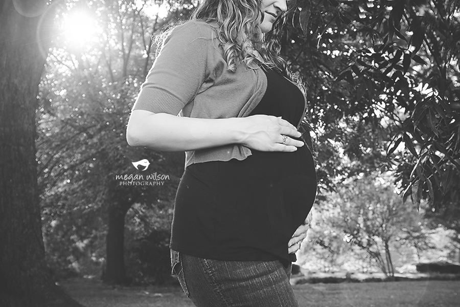 Acworth Maternity Photographer