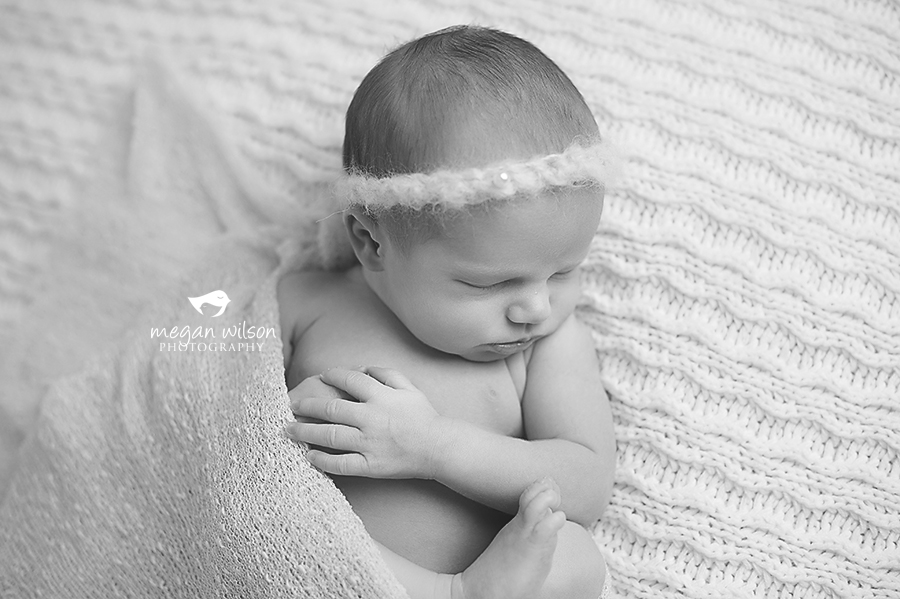 Lithia Springs Newborn Photographer