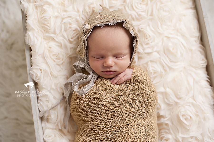 Lithia Springs Newborn Photographer