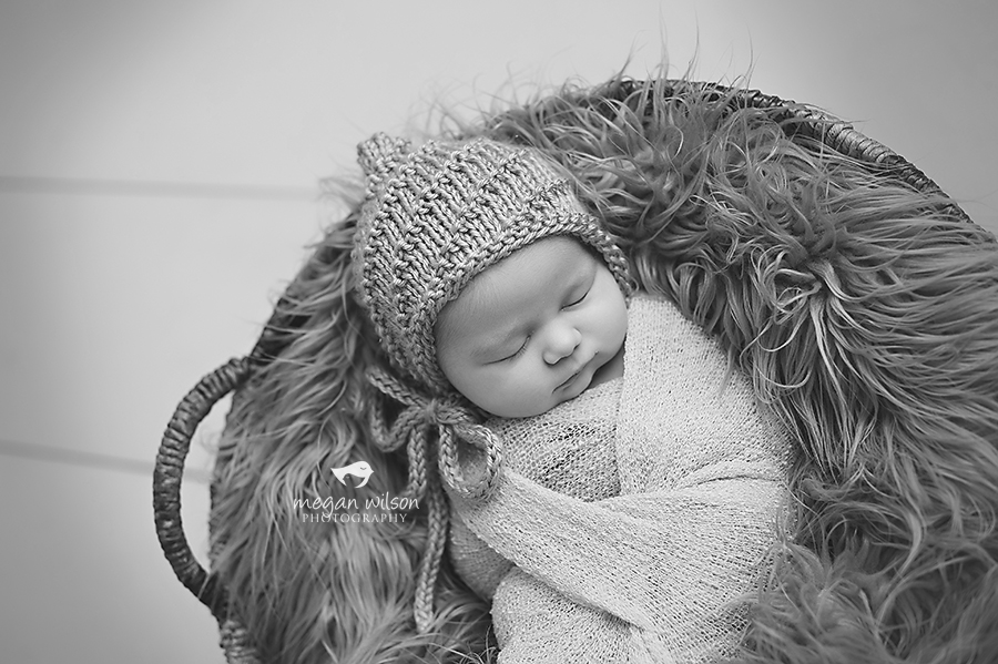 Canton Newborn Photographer