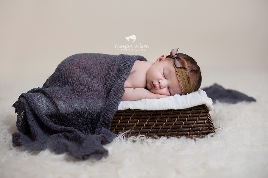 Canton Newborn Photographer