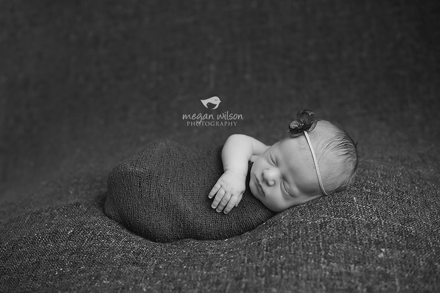 Smyrna Newborn Photographer