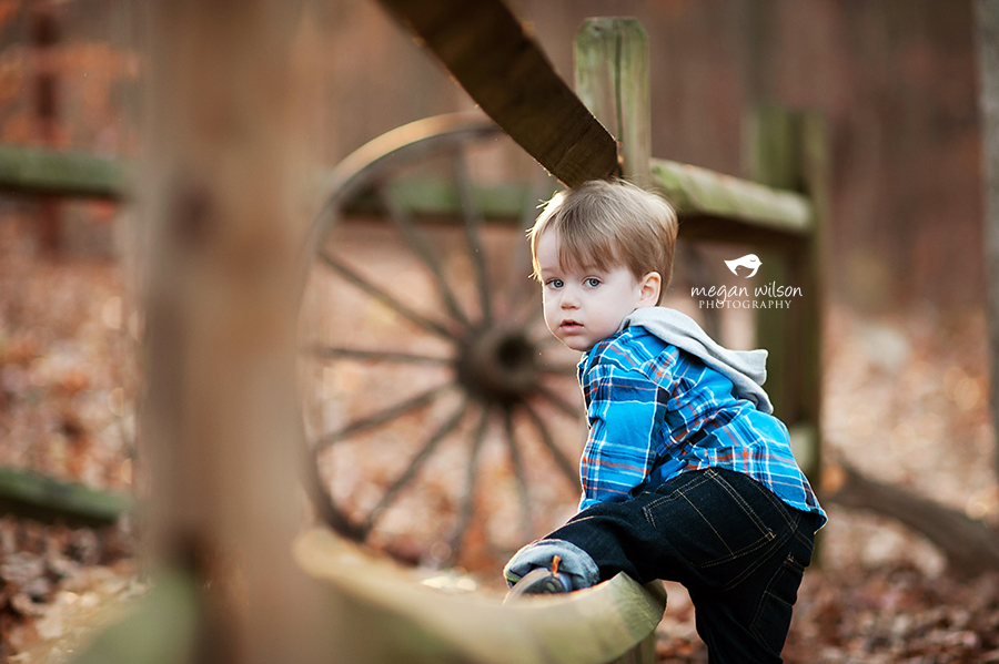 Woodstock Newborn Baby Photographer