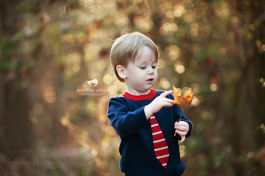 Woodstock Newborn Baby Photographer