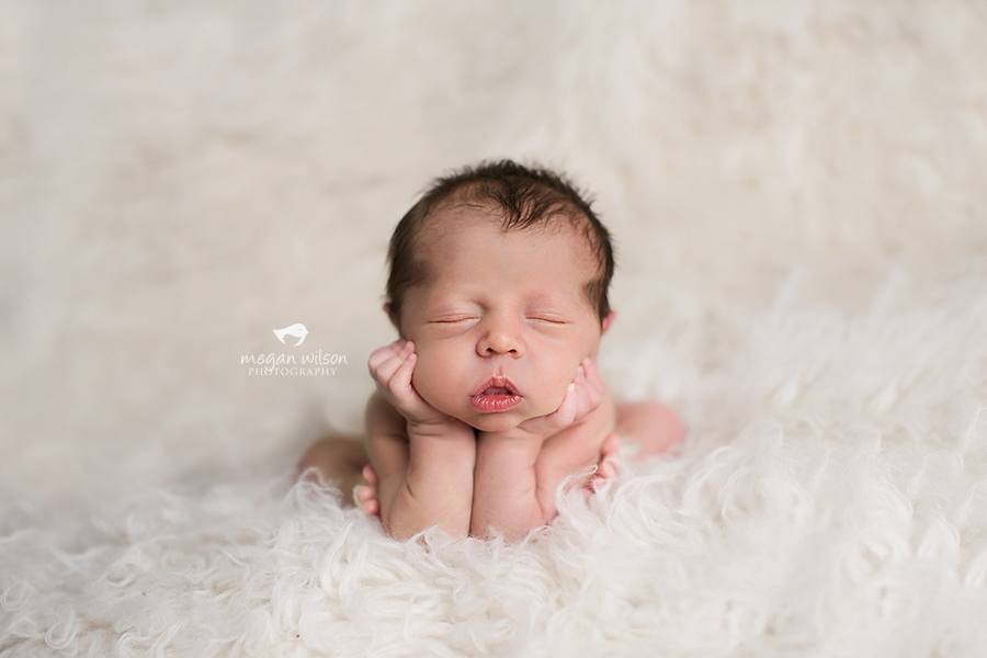 Canton Newborn Photographer