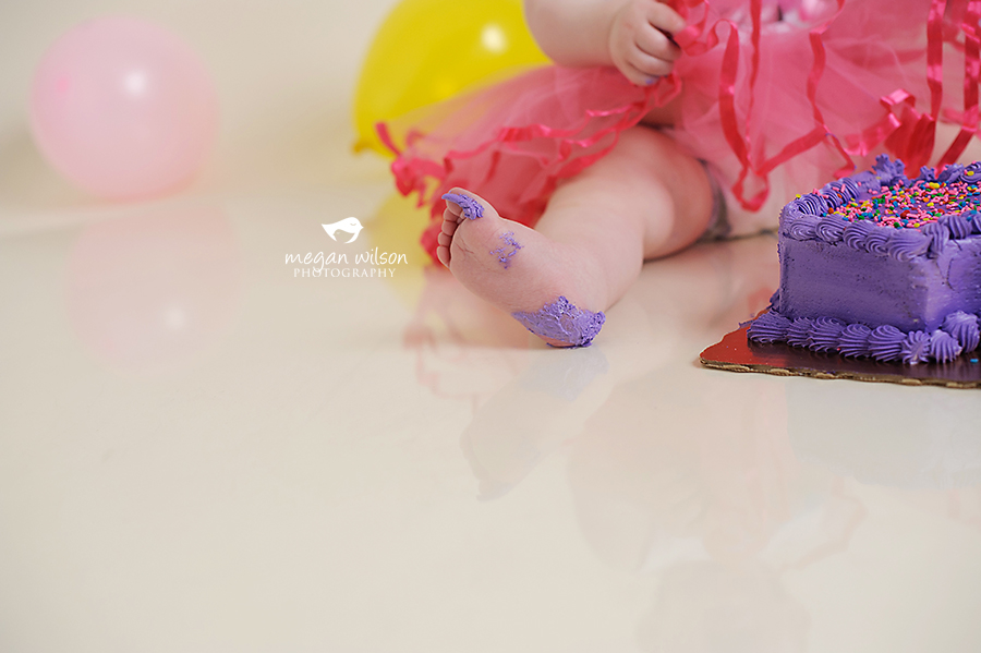 Dunwoody Baby Photographer