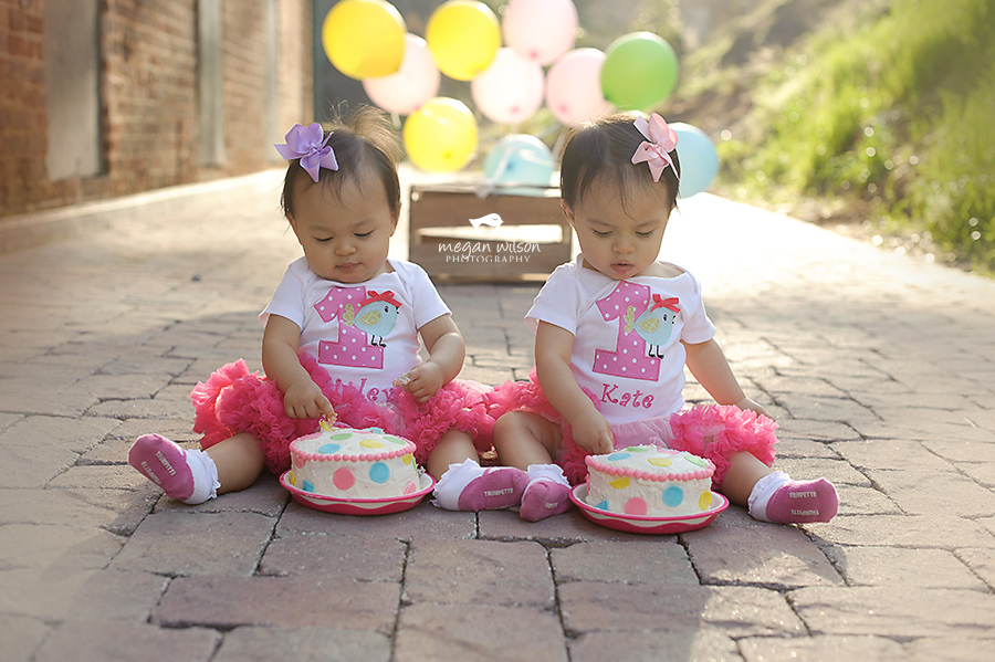 Atlanta Twin Baby Photographer
