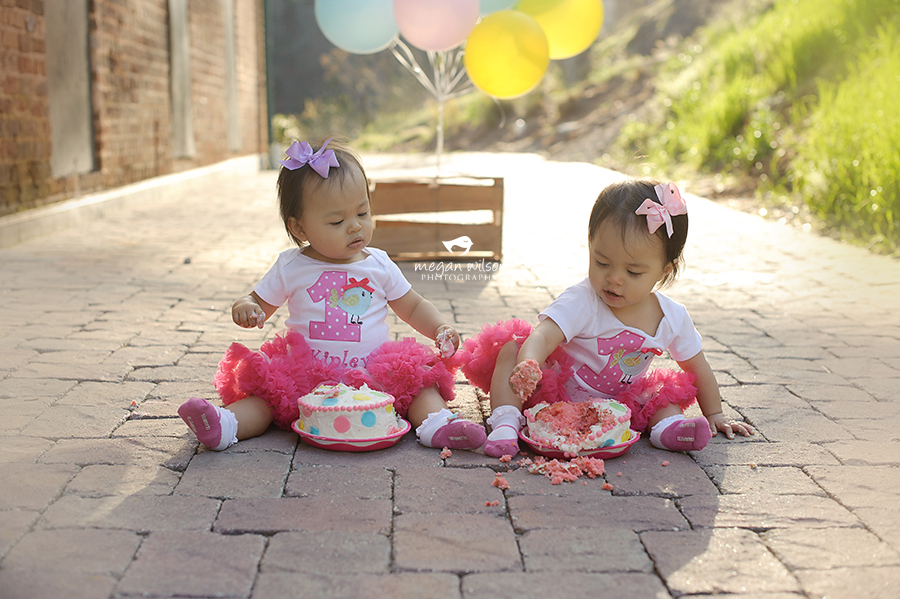 Atlanta Twin Baby Photographer