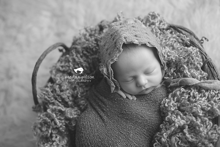 Sugar Hill Newborn Photographer