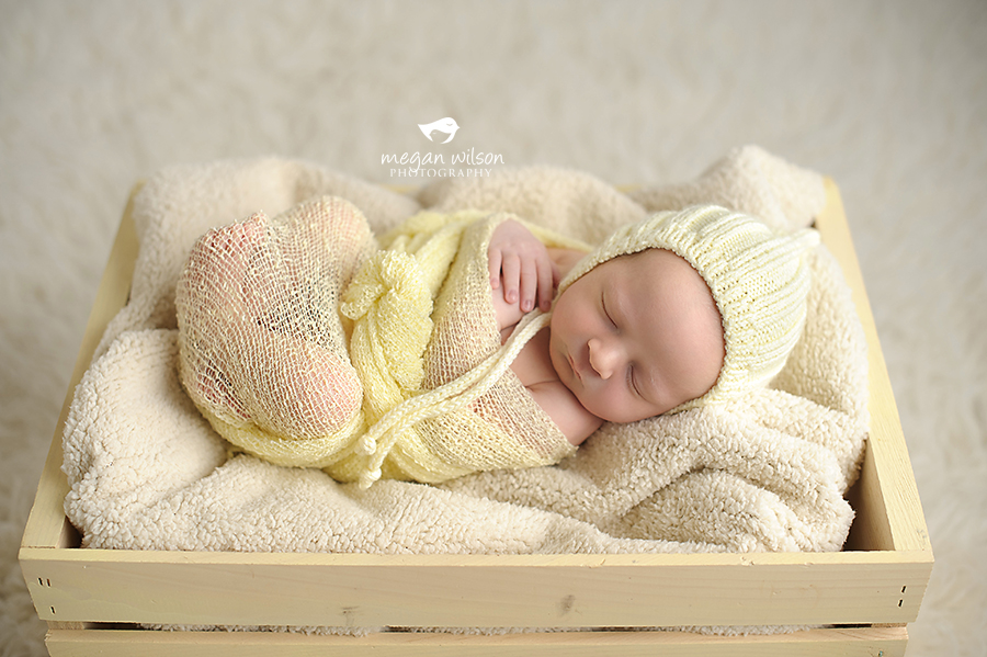 Woodstock Newborn Photographer
