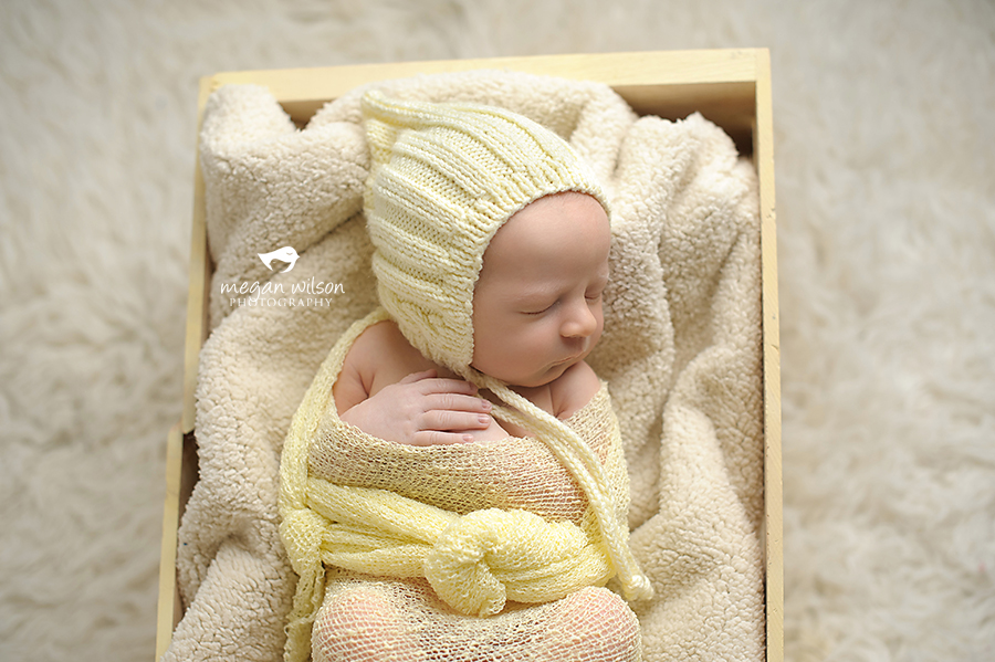 Woodstock Newborn Photographer