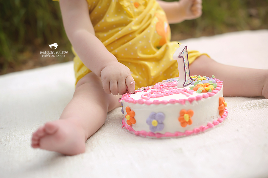 Dunwoody Baby Photographer