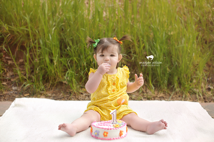 Dunwoody Baby Photographer