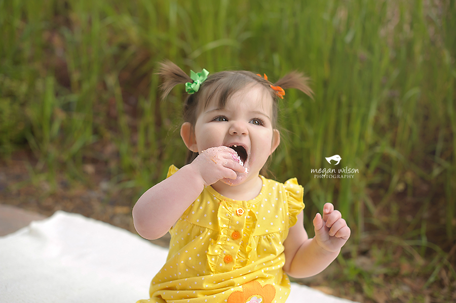 Dunwoody Baby Photographer