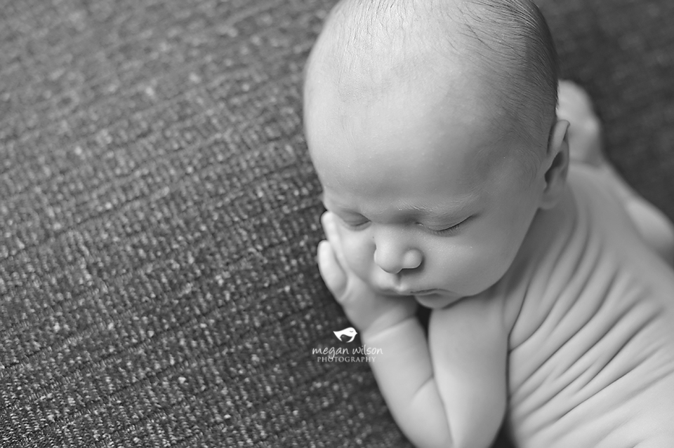 Powder Springs Newborn Photographer
