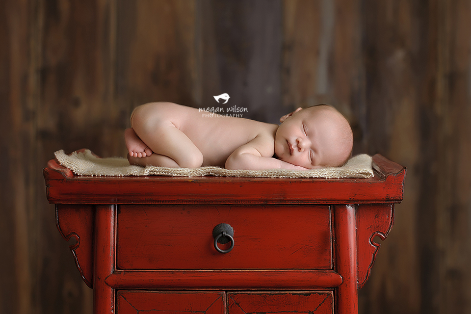 Powder Springs Newborn Photographer