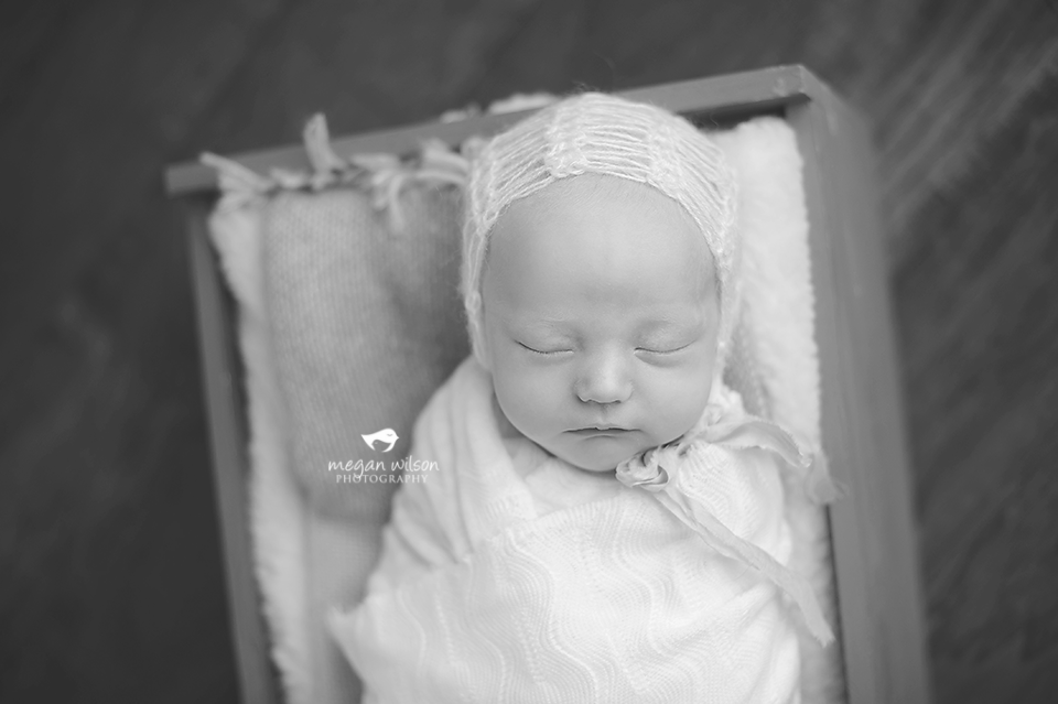 Woodstock Newborn Photographer