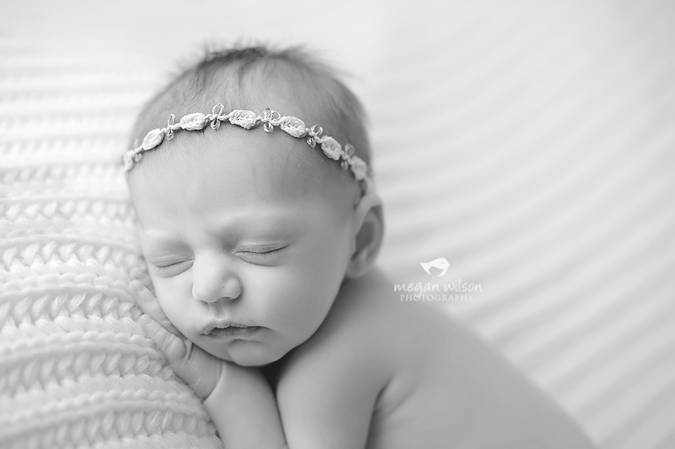 Roswell Newborn Photographer