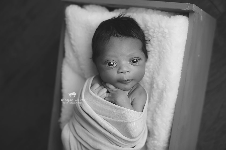 Buckhead Newborn Photographer