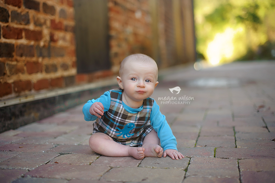 Woodstock Baby Photorapher