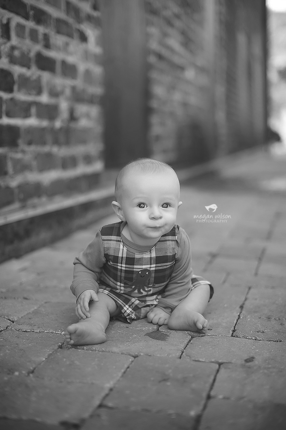 Woodstock Baby Photorapher